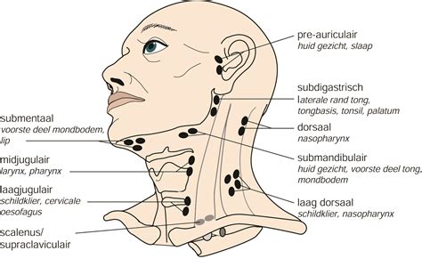 dikke lymfeklier neck.